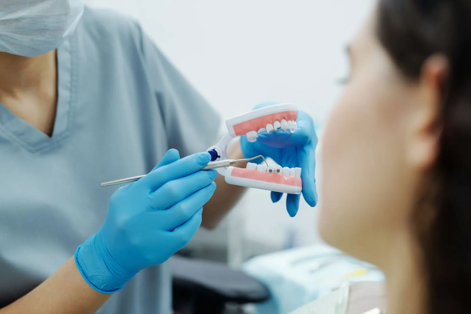 Dental care explained with a model
